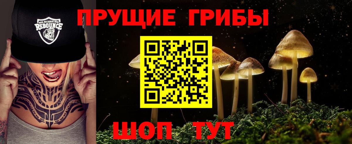Галлюциногенные грибы мицелий Красногорск